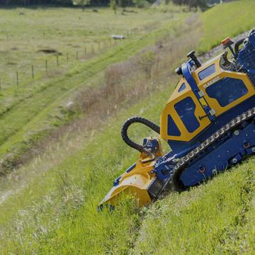Vegetation clearance